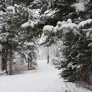 Meet your Posher, Deb